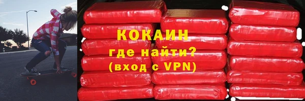 молекула духа Арсеньев