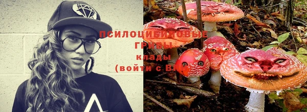 марки nbome Алексеевка