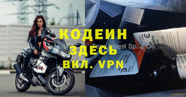 молекула духа Арсеньев