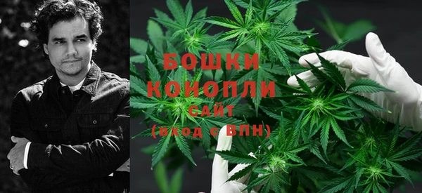 молекула духа Арсеньев