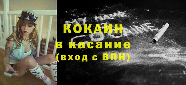 молекула духа Арсеньев