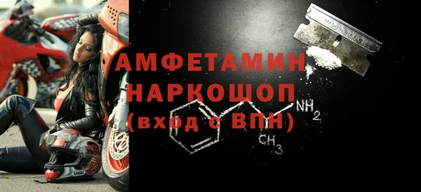 молекула духа Арсеньев